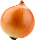 Onion