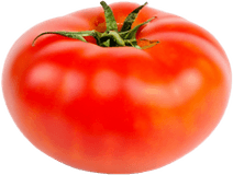 Tomate