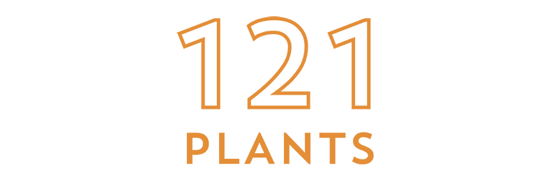 123 Plants